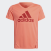 T-Shirt Adidas Designed To Move  HE2007 https://mastersportdz.com